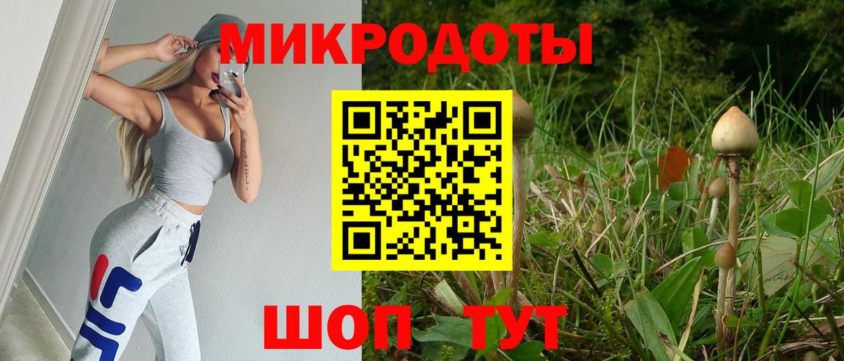 Галлюциногенные грибы Psilocybe  Вход с VPN  магазин продажи   Находка  Псилоцибиновые грибы прущие грибы 